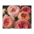 Pink Garden Roses Canvas, Excellent Gift!