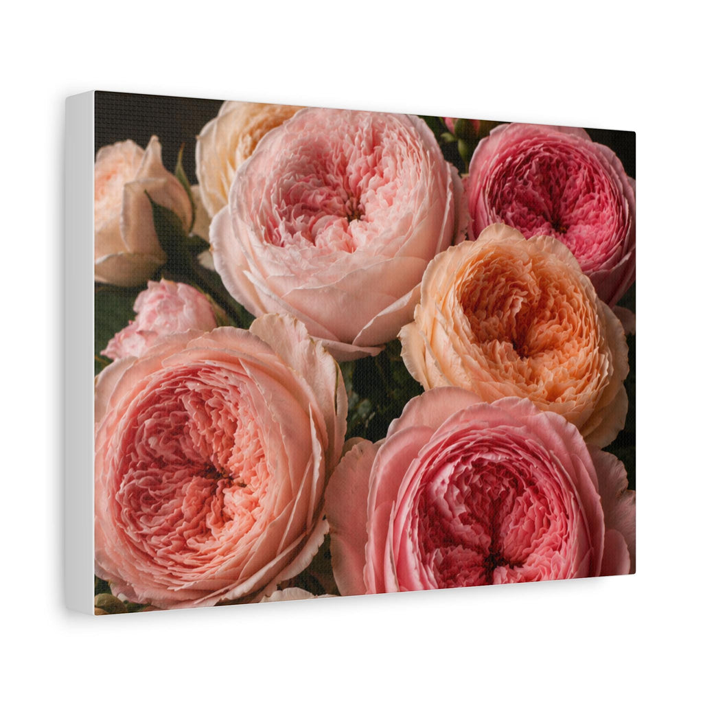 Pink Garden Roses Canvas, Excellent Gift!