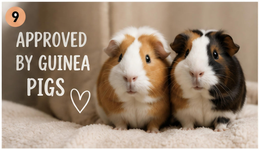 Love Guinea Pigs More Than Hoomans T-Shirt, Funny Guinea Pig Mom Tee, Cavy Lover Gift