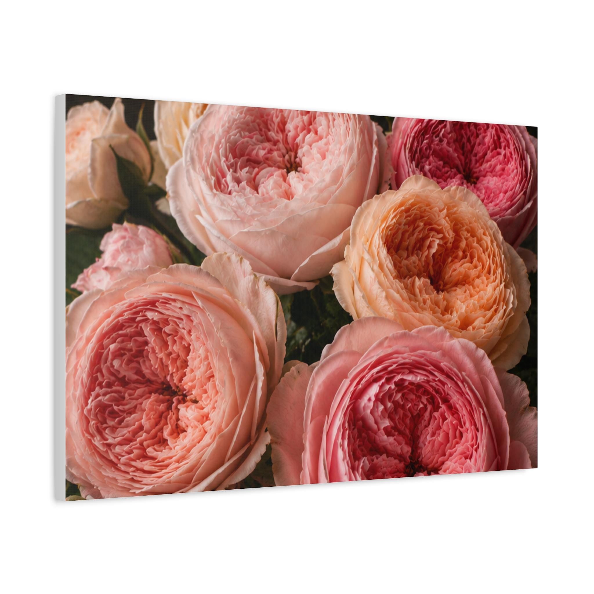 Pink Garden Roses Canvas, Excellent Gift!