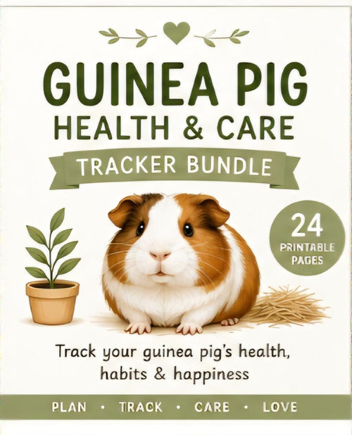 Guinea Pig Health and Care Planner Bundle, Daily Feeding Weight Tracker (Digital Download)