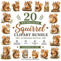20 Watercolor Squirrel Clipart Bundle, Woodland Nursery Graphics (Digital Download), Excellent Gift!