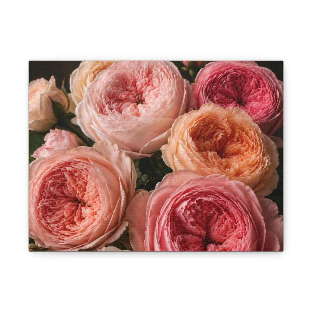 Pink Garden Roses Canvas, Excellent Gift!